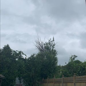 Meet your Posher, Romy